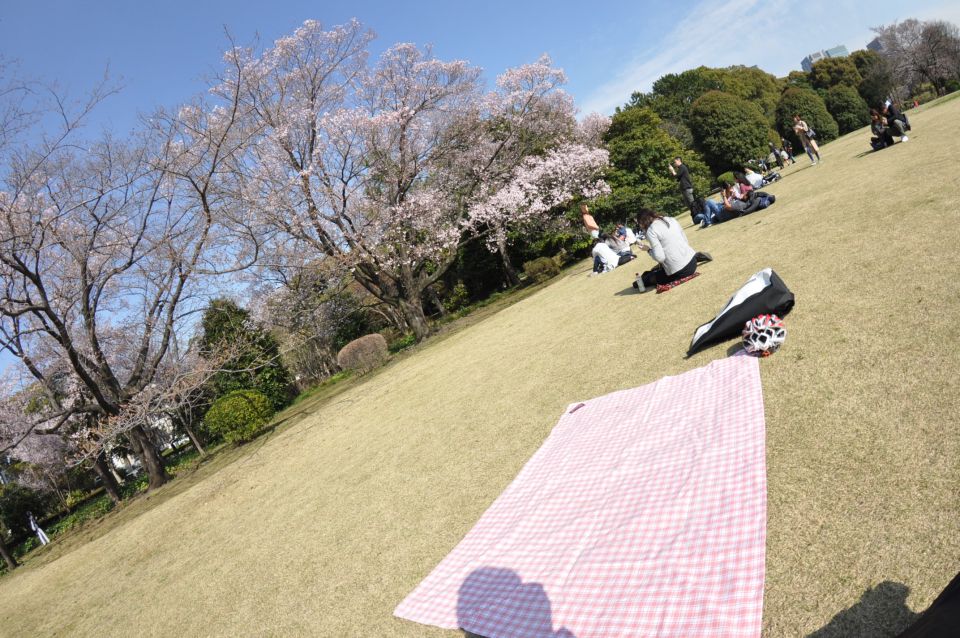 Tokyo: Private Cycling Tour with cute E-bike - Electric Assist on Tokyo Slopes: The Real Comfort Upgrade