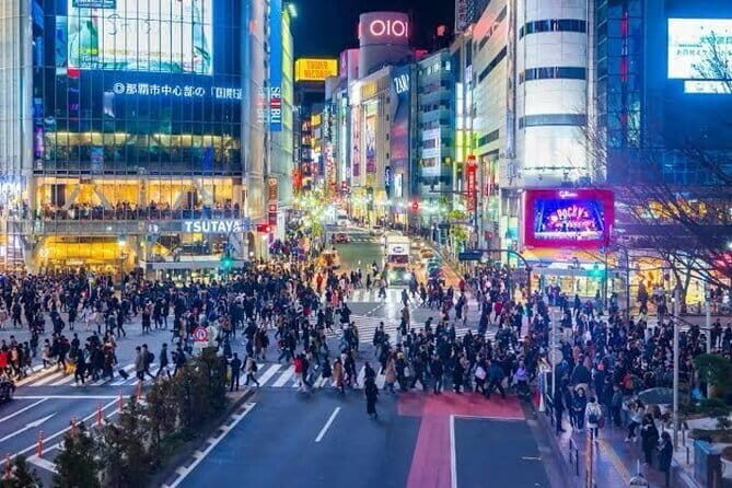 Tokyo Private Day Tour by Car with English speaking Driver - Key things to know before you ride