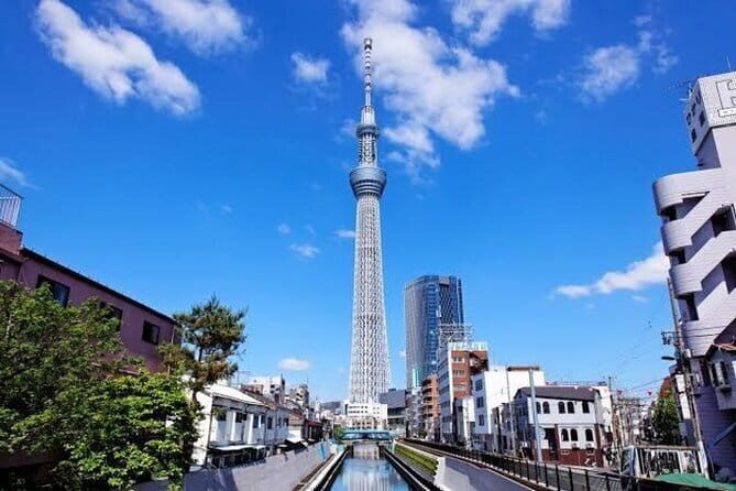 Tokyo Private Day Tour by Car with English speaking Driver - Your 8-hour plan: a smart route from temples to skyline