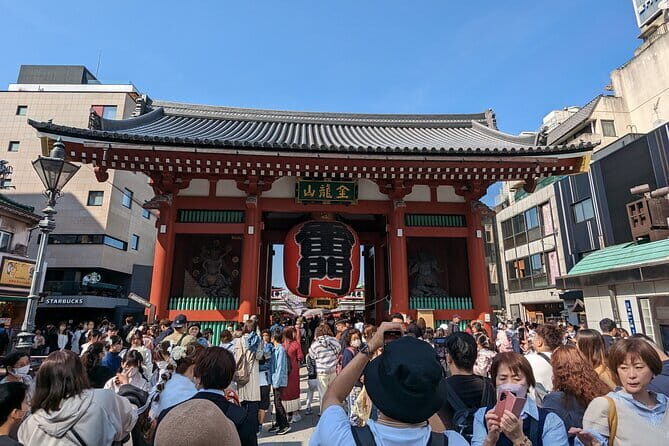 Tokyo Private Day Tour by Car with English speaking Driver - Meiji Jingu Shrine and the culture around it