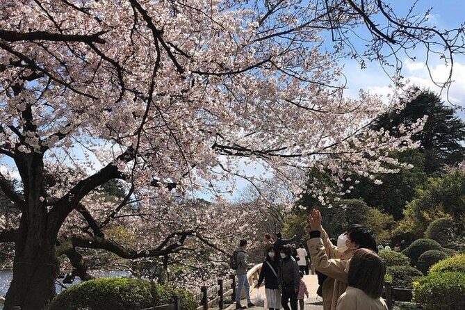 Tokyo Private Day Tour by Car with English speaking Driver Guide - Imperial Palace Grounds and Shibuya Crossing: Big Contrast in Crowd Energy