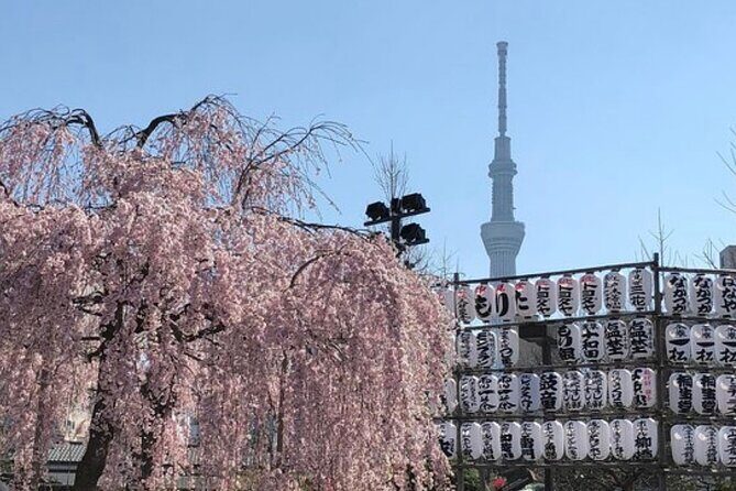 Tokyo Private Day Tour by Car with English speaking Driver Guide - Price and Logistics: Is This Really a Tour?