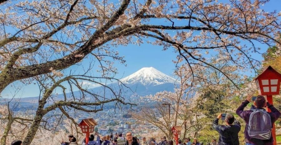 Tokyo: Private Day Trip to Mount Fuji and Hakone - Key highlights that make this day trip click