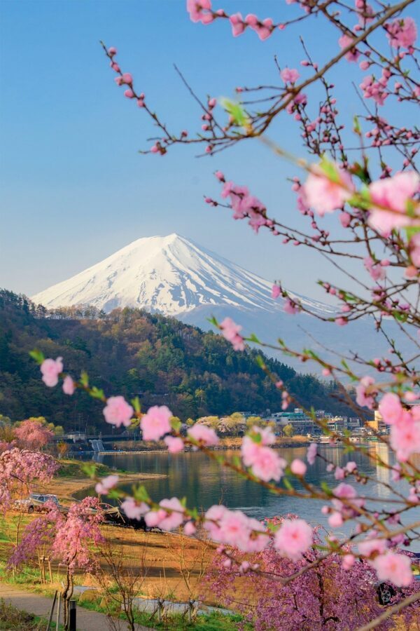 Tokyo: Private Day Trip to Mount Fuji and Hakone - The Gotemba stop: useful downtime, not just forced shopping