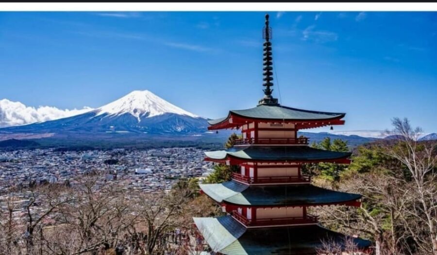 Tokyo: Private Day Trip to Mount Fuji and Hakone - Two shrine stops that teach you where to look