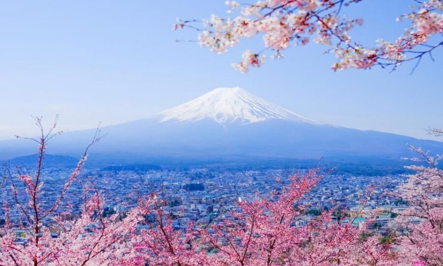 Tokyo: Private Day Trip to Mount Fuji and Hakone - Lake Kawaguchi and Oishi Park: where Fuji meets “look longer”