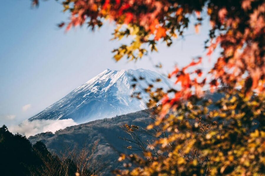 Tokyo: Private Day Trip to Mount Fuji and Hakone - Pick-up and pacing: the quiet skill behind a good day