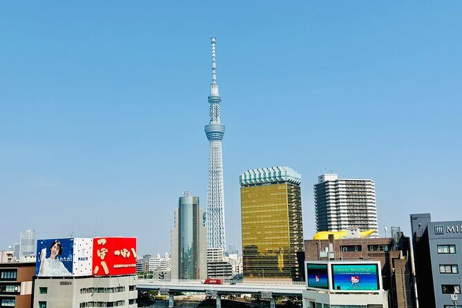 Tokyo Private Full-Day Tour by Luxury Alphard with Guide - Tokyo Skytree: the day’s final skyline hit