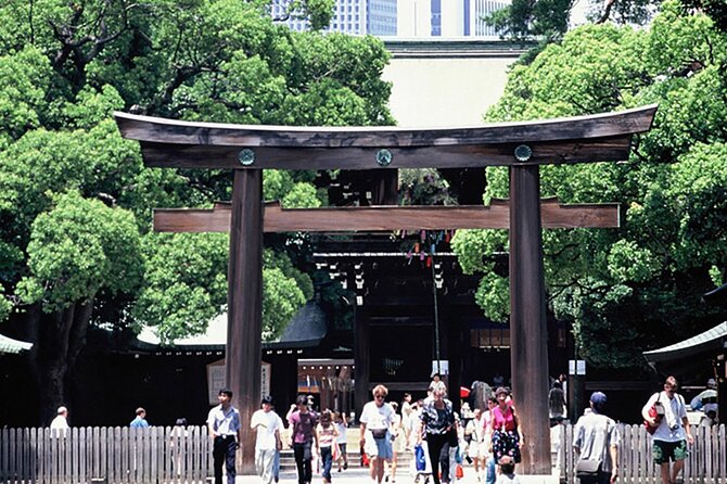 Tokyo Private Guided 1/2-Day Walking Subway Tour English guide - Key points worth your attention