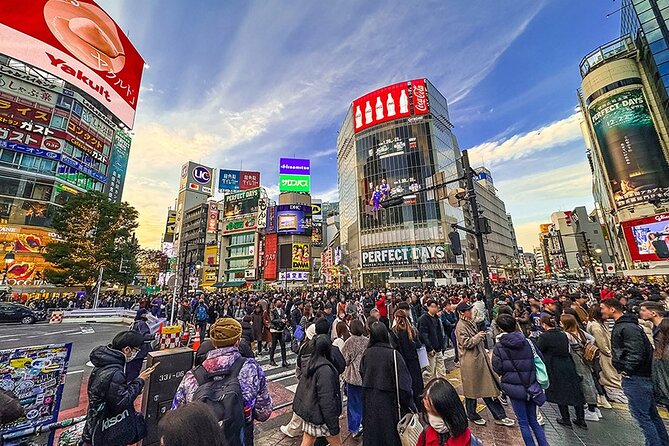 Tokyo Private Guided 1/2-Day Walking Subway Tour English guide - Hotel pickup and a one-day Metro Pass: less friction, better use of time