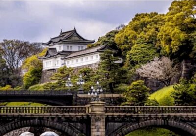Tokyo: Private Guided Tour with Hotel Pickup and Drop-off - Hotel Pickup, Onboard Wi‑Fi, and the Comfort Stuff That Adds Up