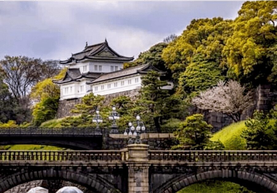 Tokyo: Private Guided Tour with Hotel Pickup and Drop-off - Hotel Pickup, Onboard Wi‑Fi, and the Comfort Stuff That Adds Up