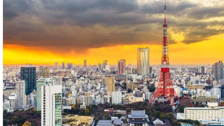 Tokyo: Private Instagramable Customised Tokyo City Day Tour - Key things that make this Tokyo day tour work