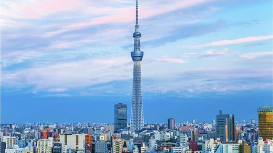Tokyo: Private Instagramable Customised Tokyo City Day Tour - Pickup, drop-off, and the comfort basics that matter