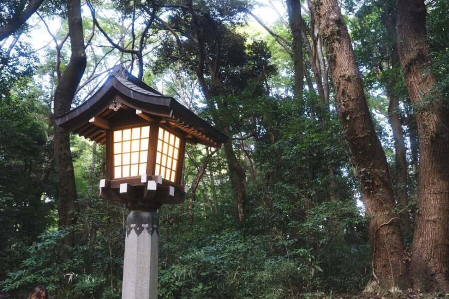 Tokyo: Private Meiji Shrine & Harajuku Highlights Tour - What to Wear, Bring, and Watch For