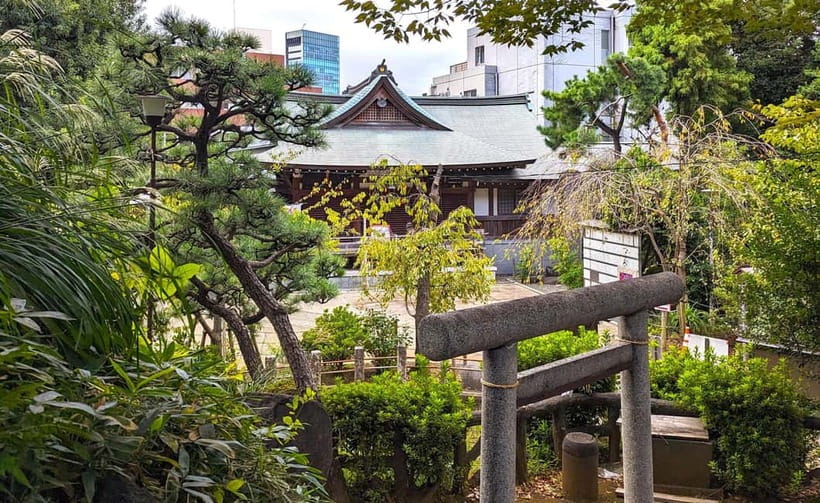 Tokyo: Private Morning Run with Sento Bath Experience - Harajuku to Aoyama by Runner’s Pace: Yoyogi Park and a Calmer Green Belt