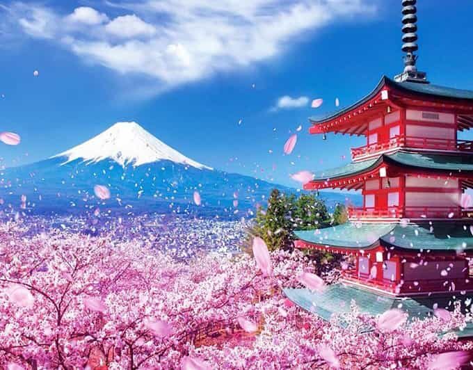 Tokyo: Private Mount Fuji and Hakone Day Trip with Guide - Key things I’d focus on before you go