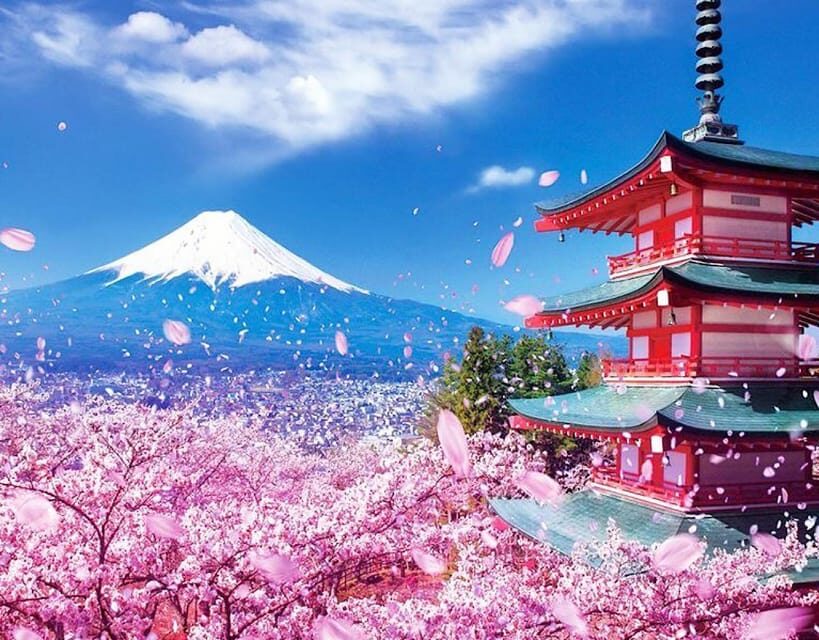Tokyo: Private Mount Fuji and Hakone Day Trip with Guide - Kitaguchi-hongu Fuji Sengen Shrine: the quick reset (about 30 minutes)