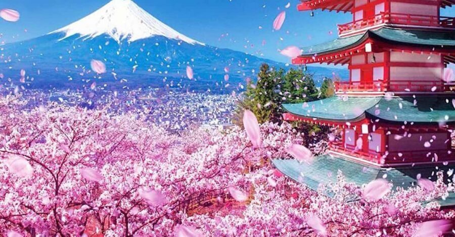 Tokyo: Private Mount Fuji and Hakone Day Trip with Guide - Mt. Kachi Kachi Ropeway, Chureito Pagoda, then Lake Ashi: viewpoint stacking without losing your mind