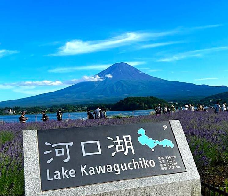 Tokyo: Private Mount Fuji and Hakone Day Trip with Guide - Price and value: $419 per group for a full Fuji-Hakone day