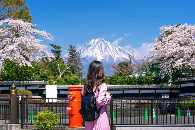 Tokyo: Private Mount Fuji Day Trip with Private Guide - Key Things You’ll Feel on This Trip