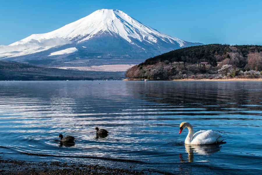 Tokyo: Private Mount Fuji Tour with Pickup and Drop-Off - Lake Kawaguchi: your first real look at Fuji