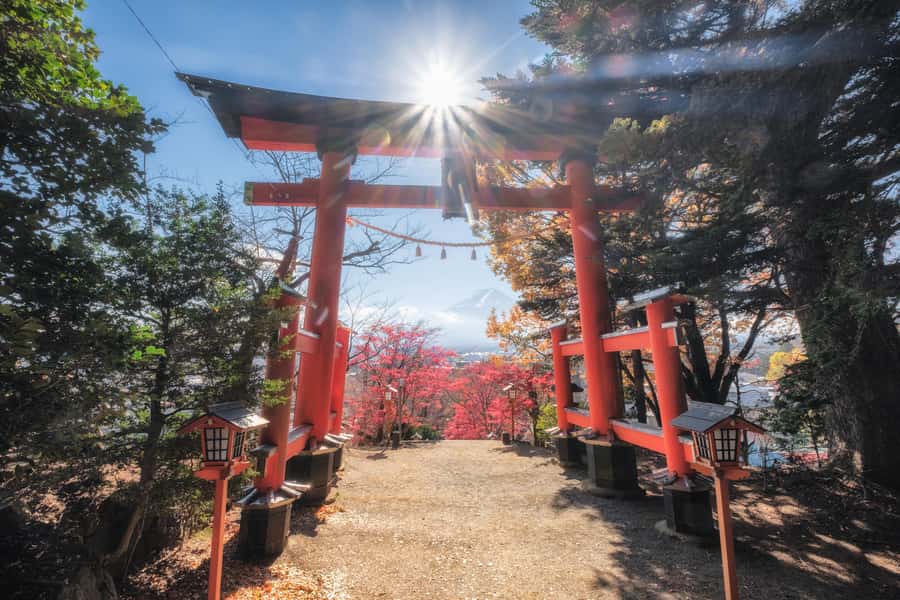 Tokyo: Private Mt.Fuji Day Trip with English-Speaking Driver - Door-to-door Pickup and Why a Private Van Matters