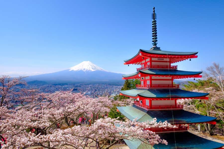 Tokyo: Private Mt.Fuji Day Trip with English-Speaking Driver - Kitaguchi-hongu Fuji Sengen Shrine Under the Cedars