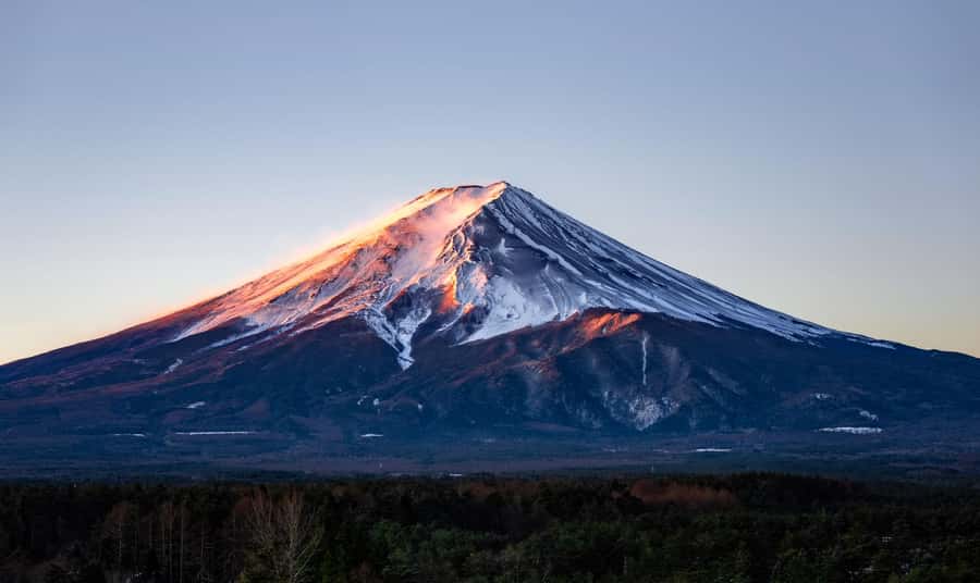 Tokyo: Private Mt.Fuji Day Trip with English-Speaking Driver - Lake Kawaguchi: Calm Water and Easy Scenic Time