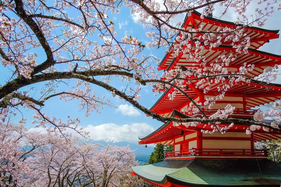 Tokyo: Private Mt.Fuji Day Trip with English-Speaking Driver - Chureito Pagoda: The Fuji Backdrop You Came For