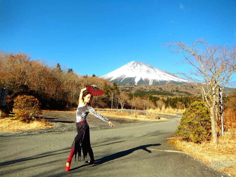 Tokyo: Private Mt. Fuji Luxury Day Tour – Fully Customizable - Key things to love about this Mt. Fuji luxury private tour