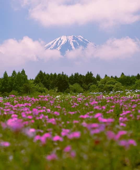Tokyo: Private Mt. Fuji Luxury Day Tour – Fully Customizable - Why private beats group for a Mount Fuji day