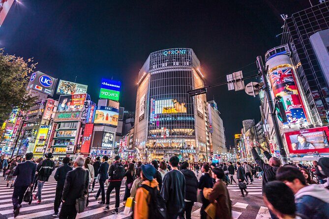 Tokyo Private Night Tour by Car/Van - English speaking chauffeur - Why a private Tokyo night drive beats winging it