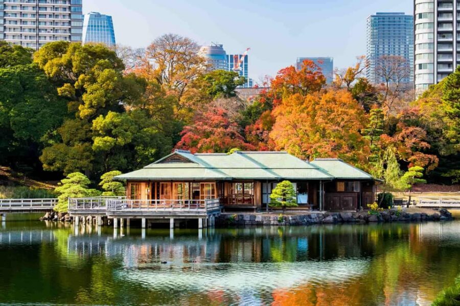Tokyo: Private Night Tour with English-Speaking Driver - Tokyo Station and Ginza: classic Tokyo meets high-end lights