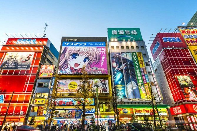 Tokyo Private Off-Beat Tour Hidden Oddities & Icons with a Local - Key highlights you should care about