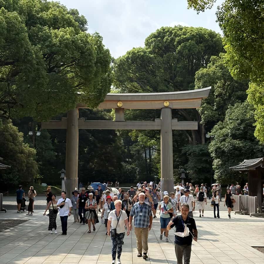 Tokyo: Private Shinto Shrines Tour by Car with Local Guide - Why This Private Shrine Tour Feels Effortless in Tokyo
