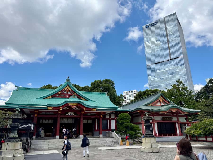 Tokyo: Private Shinto Shrines Tour by Car with Local Guide - Goshuin Stamps and Ritual Etiquette You Can Reuse