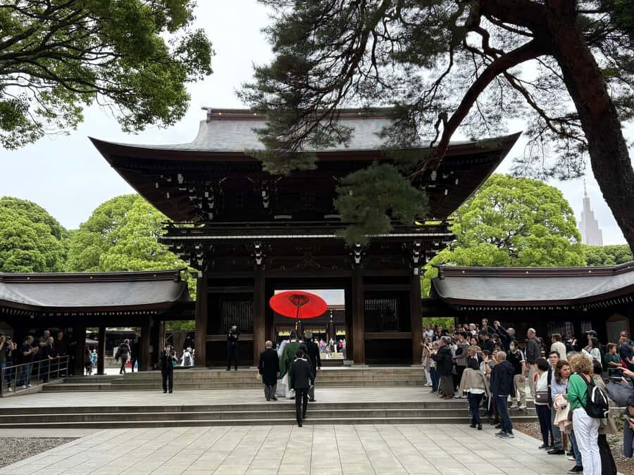 Tokyo: Private Shinto Shrines Tour by Car with Local Guide - Timing and Comfort: What Half a Day Usually Means
