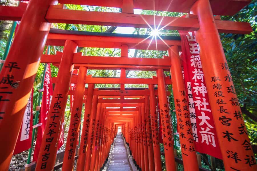 Tokyo: Private Shinto Shrines Tour by Car with Local Guide - Meiji Shrine: The Calm Start That Resets Your Tokyo Day