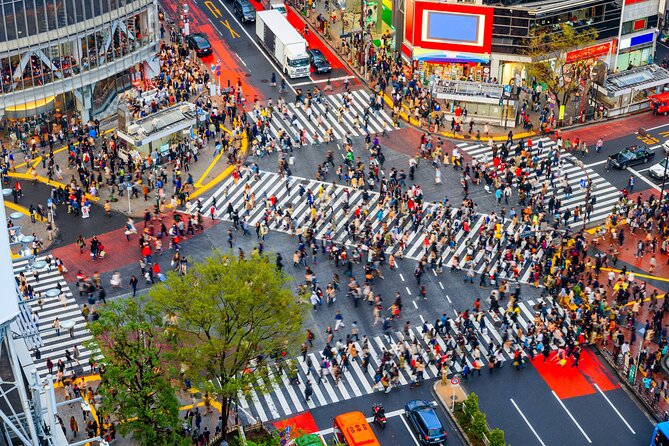 Tokyo Private Sightseeing Tour by Car- English speaking chauffeur - Tsukiji Outer Market: Food Town in One Easy Hour