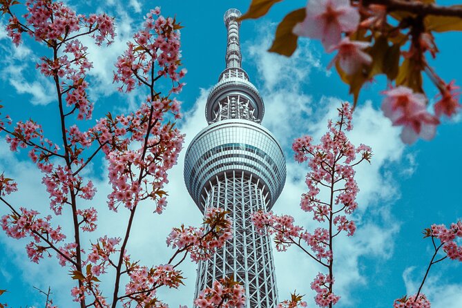Tokyo Private Sightseeing Tour by Car- English speaking chauffeur - Ginza and Omotesando: Shopping Districts with Different Personalities
