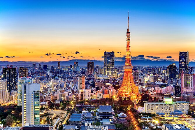 Tokyo Private Sightseeing Tour by Car- English speaking chauffeur - Price and Value: What You’re Really Paying For