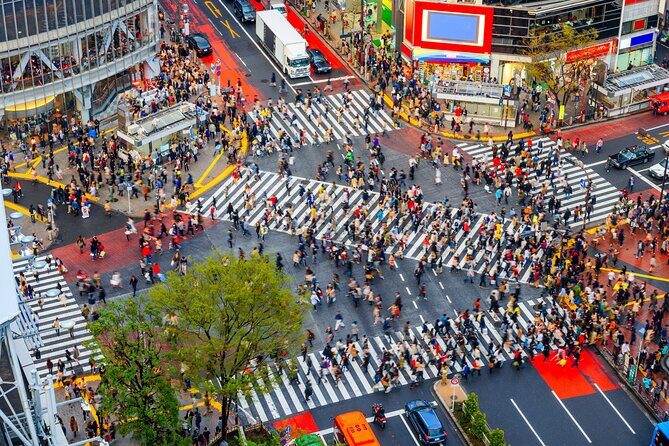 Tokyo Private Sightseeing Tour by Car - English speaking driver - Key Things That Make This Car Tour Work in Tokyo