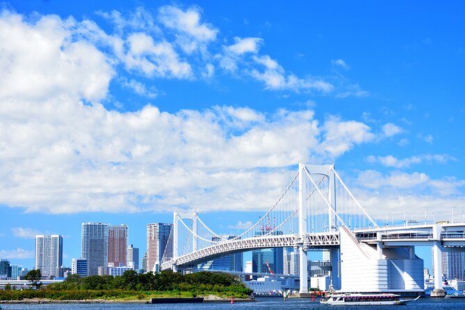 Tokyo Private Tour - Who this tour suits best