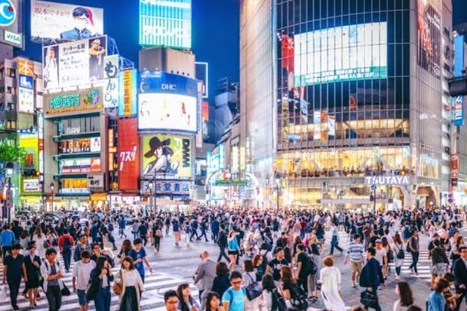 Tokyo Private Tour by Car with English speaking driver - Tsukiji Fish Market stop: fast access to seafood Tokyo