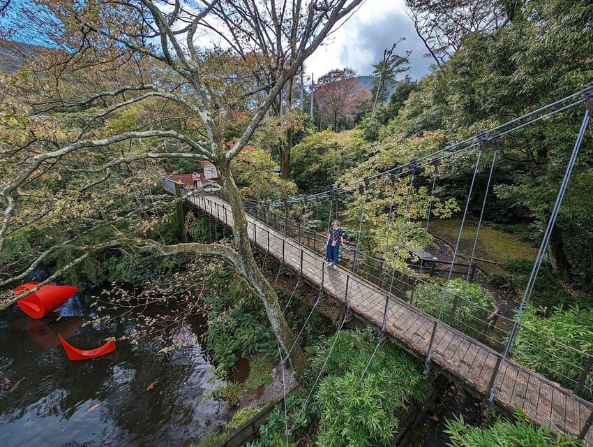 Tokyo private tour by car with pick up - Why a private Tokyo car day is worth the money