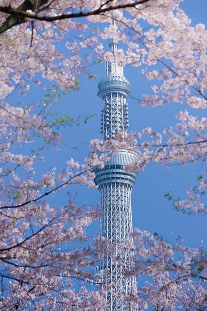 Tokyo private tour by car with pick up - Getting picked up in Tokyo and moving without headaches