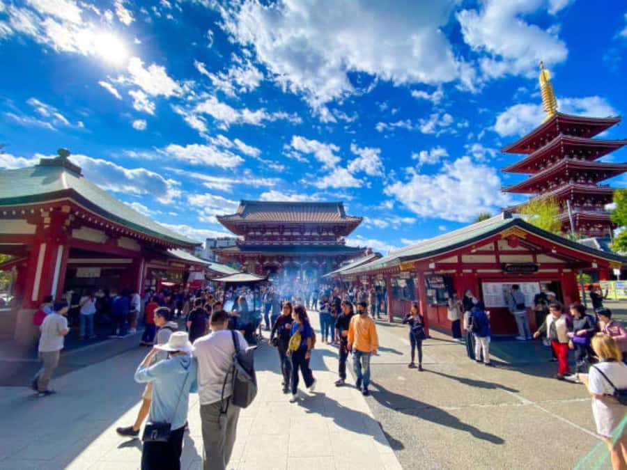 Tokyo Private Tour English Pro Guide By Luxury Vehicle - Imperial Palace Gardens: A Calm Reset From the Streets