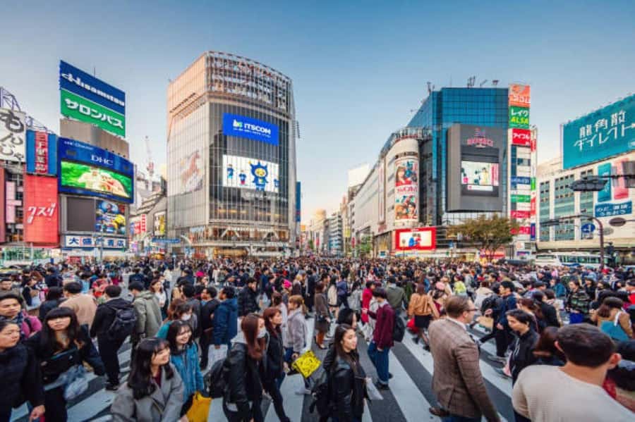 Tokyo Private Tour English Pro Guide By Luxury Vehicle - Asakusa and Senso-ji: Temples Plus Nakamise Street Energy