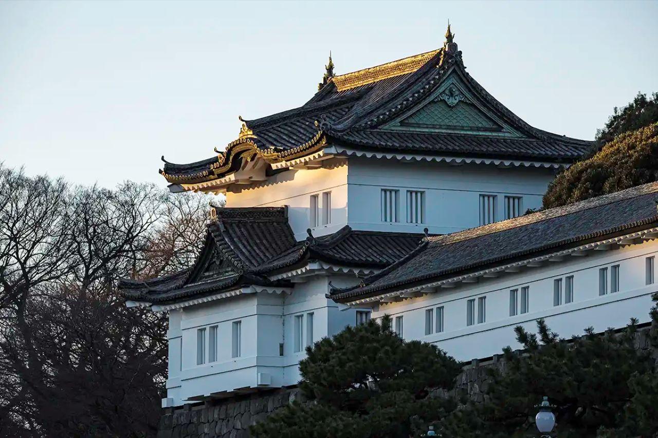 Tokyo Private Tour English Pro Guide By Luxury Vehicle - Meiji Shrine: The City’s Green Pause